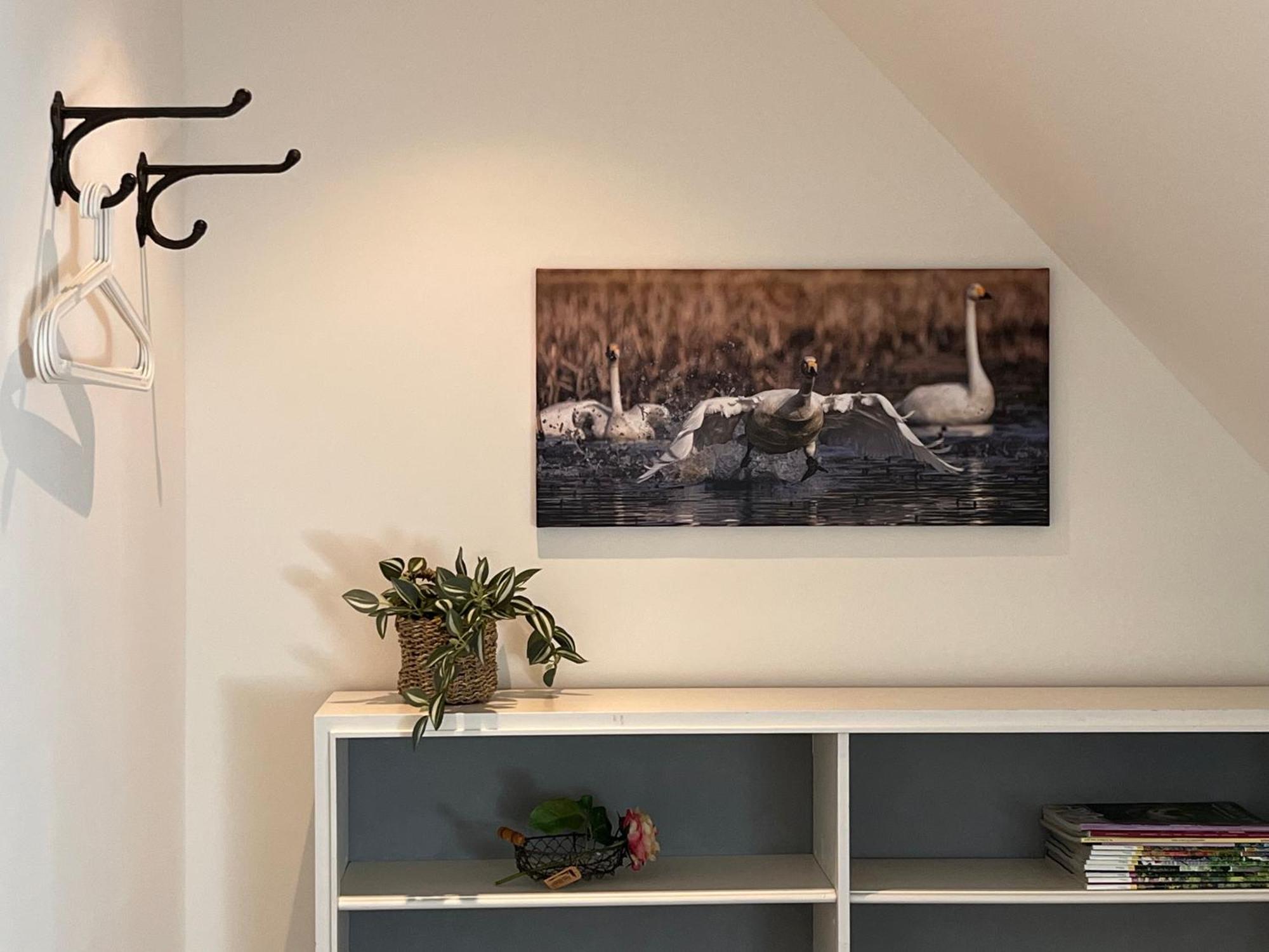 Elb Nest Gaestehaus Neu Darchau ภายนอก รูปภาพ